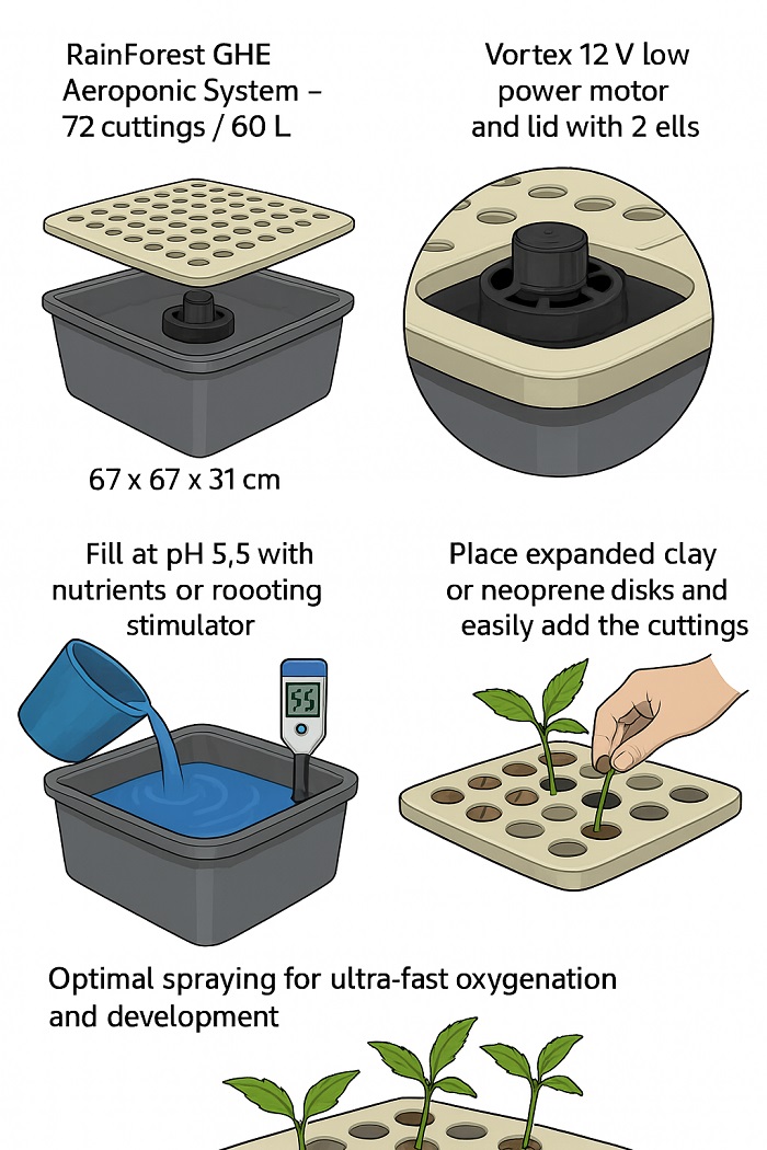 RainForest GHE Aeroponic Propagation System